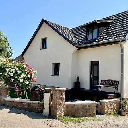 L'Escale Lägenhet Riquewihr Exteriör bild