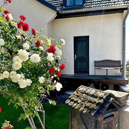 L'Escale Lägenhet Riquewihr Exteriör bild