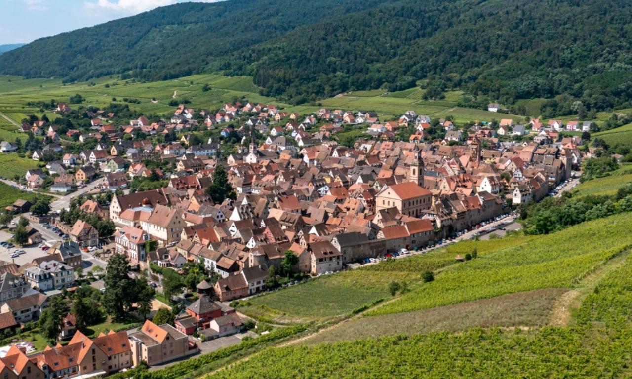 L'Escale Lägenhet Riquewihr Exteriör bild