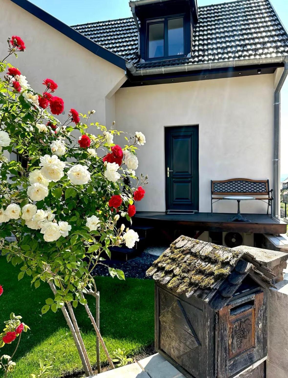 L'Escale Lägenhet Riquewihr Exteriör bild
